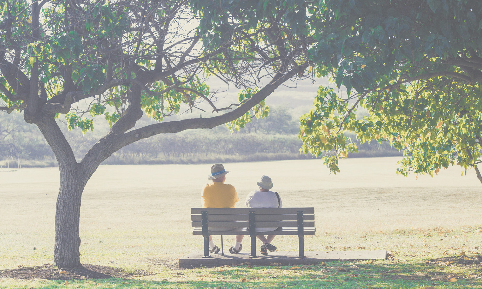 公園のベンチに座っている老夫婦
